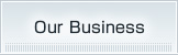 Our Business