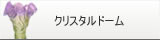 ドーム クリスタル